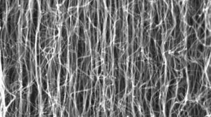 Aligned carbon nanotubes